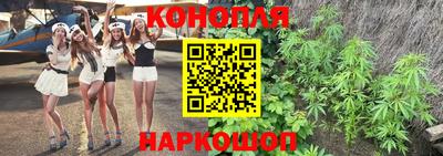 гашик Бузулук