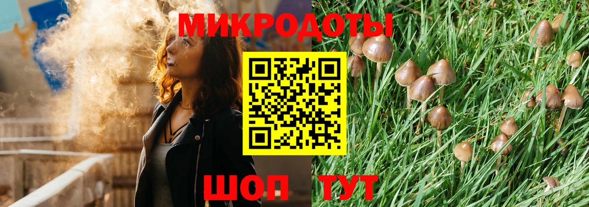 Псилоцибиновые грибы мицелий Соликамск