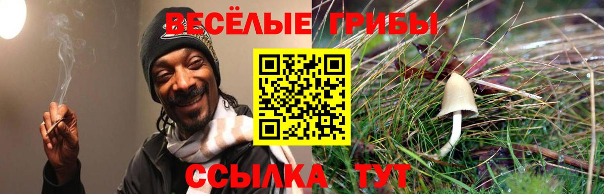 Соликамск  Псилоцибиновые грибы мицелий  Галлюциногенные грибы Magic Shrooms  Вход с VPN 